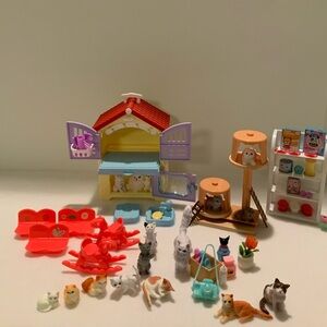 Grooming and Cat Daycare
